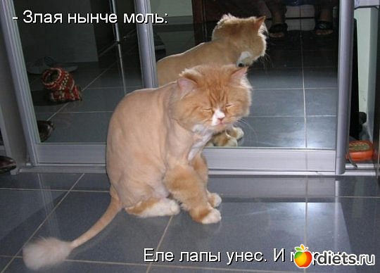 ������ � ��.