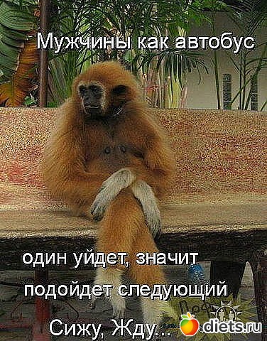 ������ � ��.