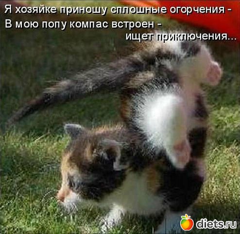 ������ � ��.