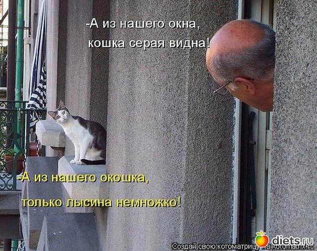 76 ����: ������ � ��.