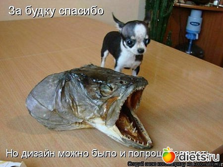 ������ � ��.