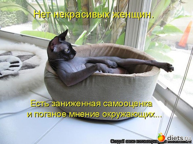 78 ����: ������ � ��.