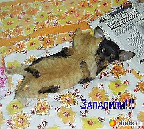 ������ � ��.