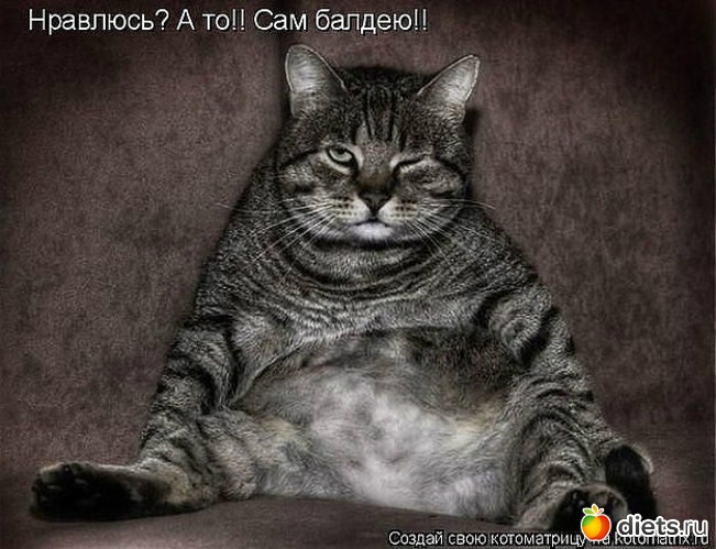 81 ����: ������ � ��.