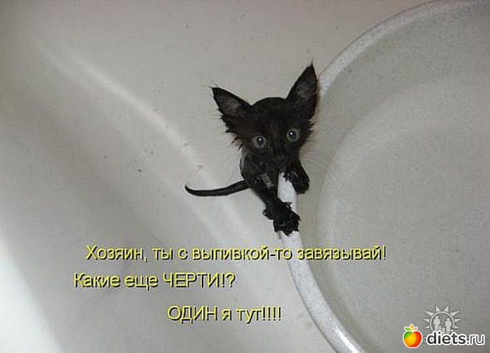 83 ����: ������ � ��.