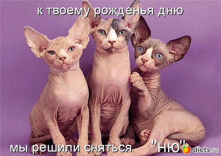 17 ����: ������ � ��.