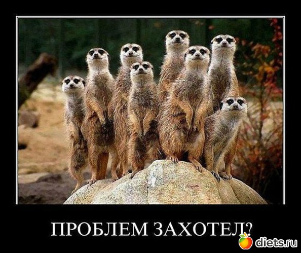 18 ����: ������ � ��.