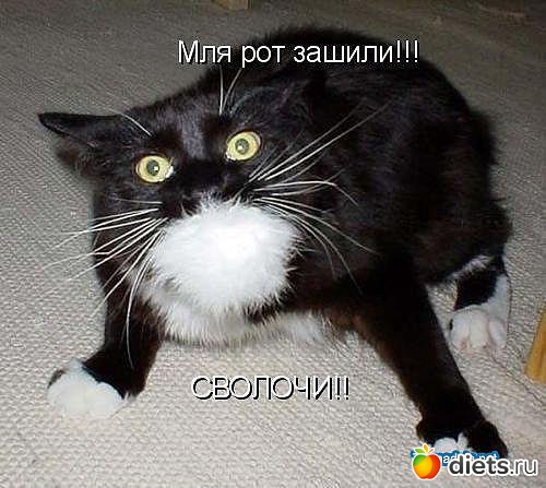 ������ � ��.