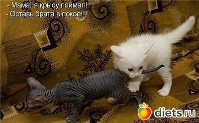 ������ � ��.