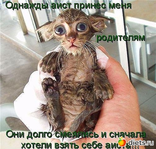 ������ � ��.