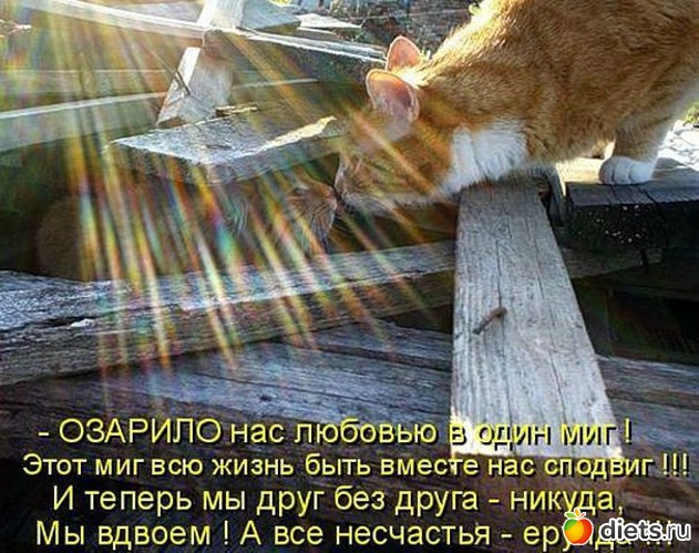 23 ����: ������ � ��.