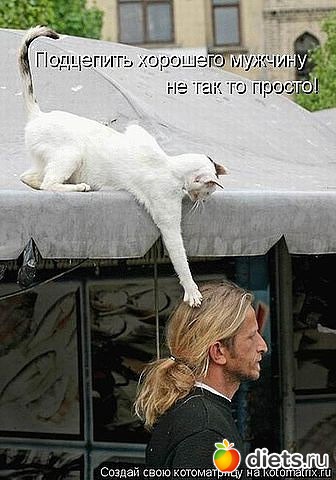 ������ � ��.