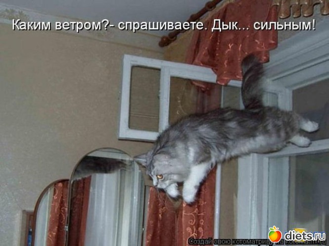 25 ����: ������ � ��.