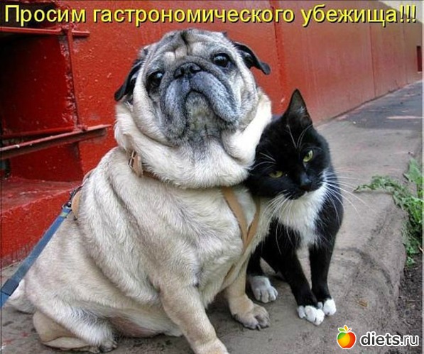 28 ����: ������ � ��.