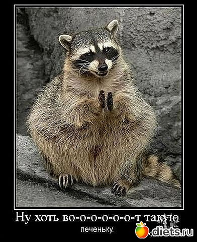 ������ � ��.