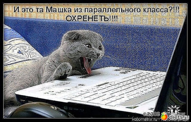 31 ����: ������ � ��.