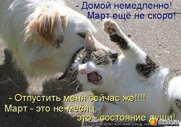 84 ����: ������ � ��.