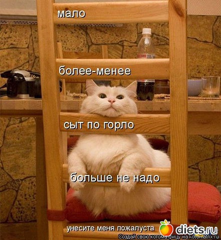 ������ � ��.