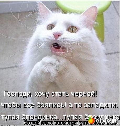 ������ � ��.