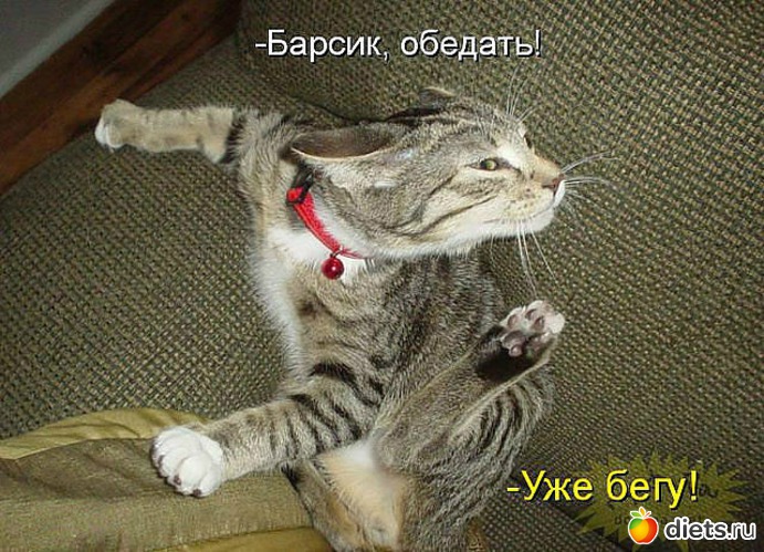 88 ����: ������ � ��.