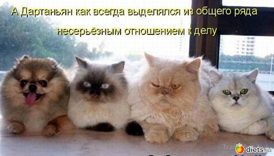 89 ����: ������ � ��.