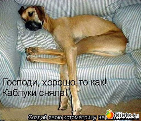 ������ � ��.