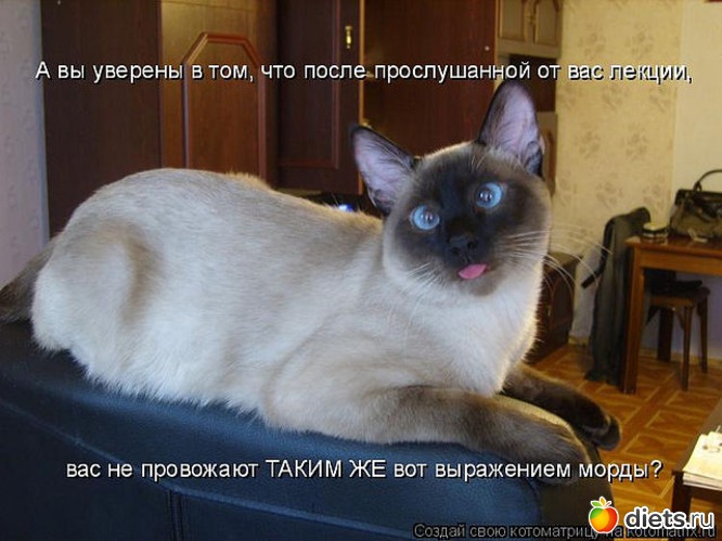 92 ����: ������ � ��.