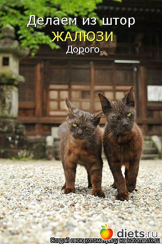 ������ � ��.