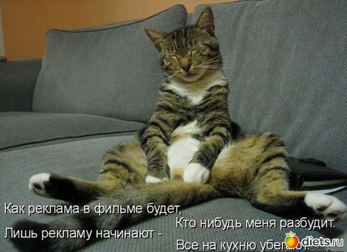 94 ����: ������ � ��.