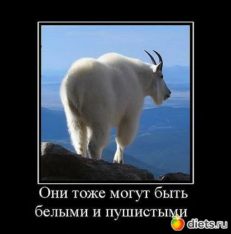 ������ � ��.