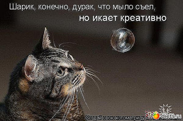 96 ����: ������ � ��.