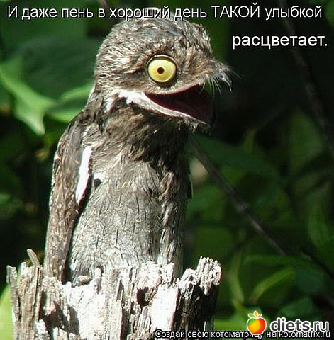 ������ � ��.