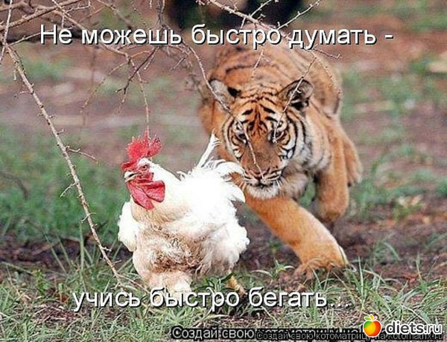 98 ����: ������ � ��.