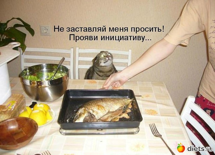 99 ����: ������ � ��.