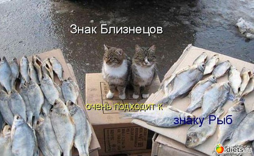 100 ����: ������ � ��.