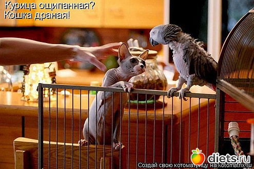 ������ � ��.