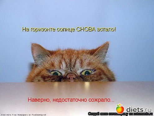 ������ � ��.