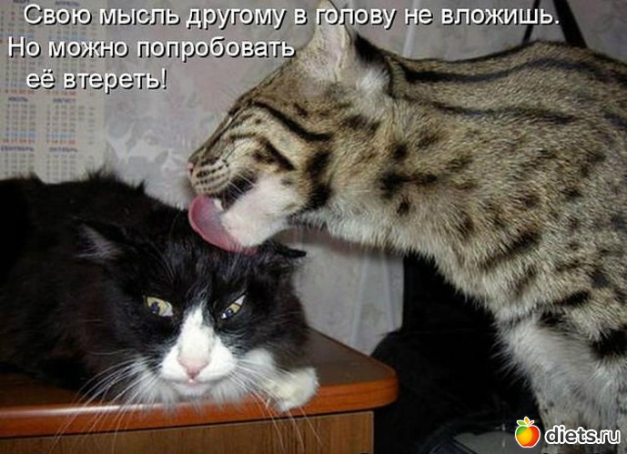 103 ����: ������ � ��.