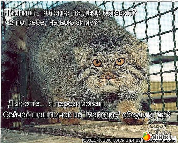 104 ����: ������ � ��.