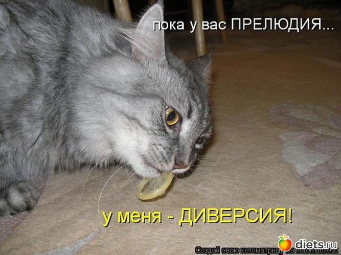 108 ����: ������ � ��.