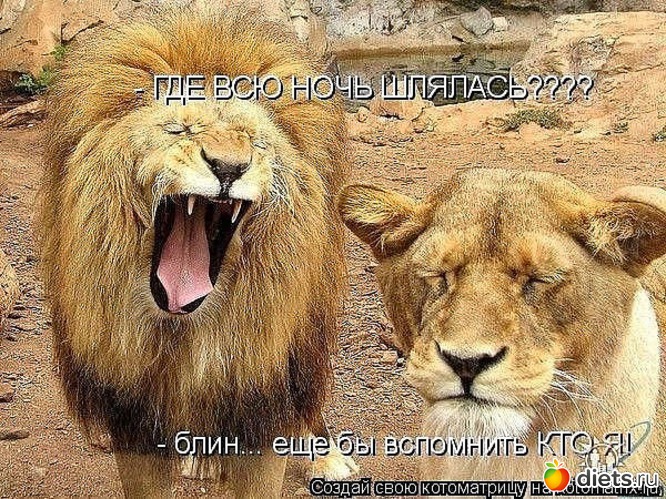 112 ����: ������ � ��.