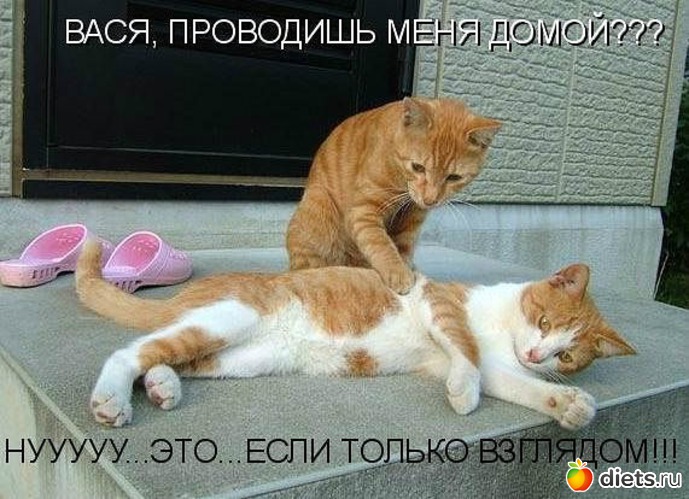 113 ����: ������ � ��.