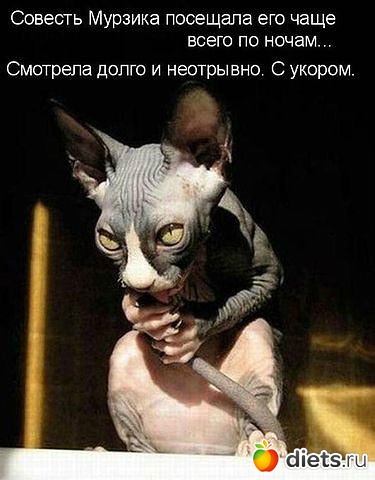 ������ � ��.