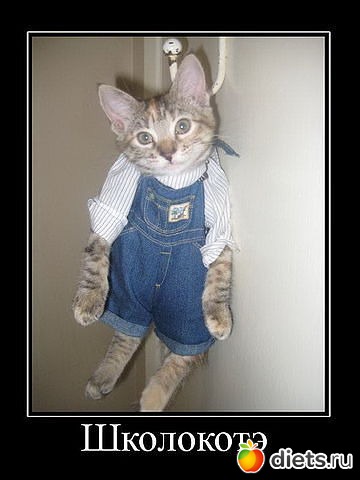 ������ � ��.