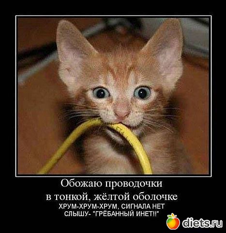 ������ � ��.