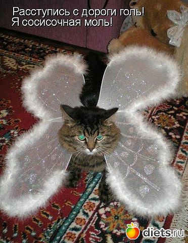 ������ � ��.