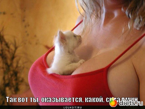 ������ � ��.