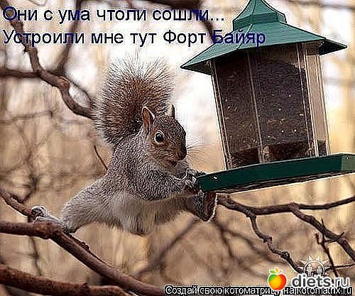 ������ � ��.