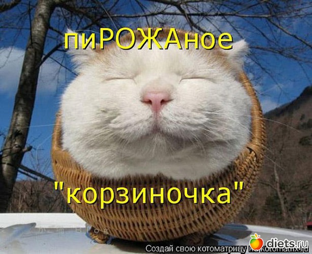 122 ����: ������ � ��.