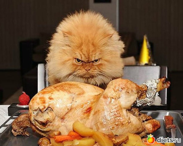 124 ����: ������ � ��.